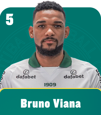 Bruno Viana Willemen da Silva 