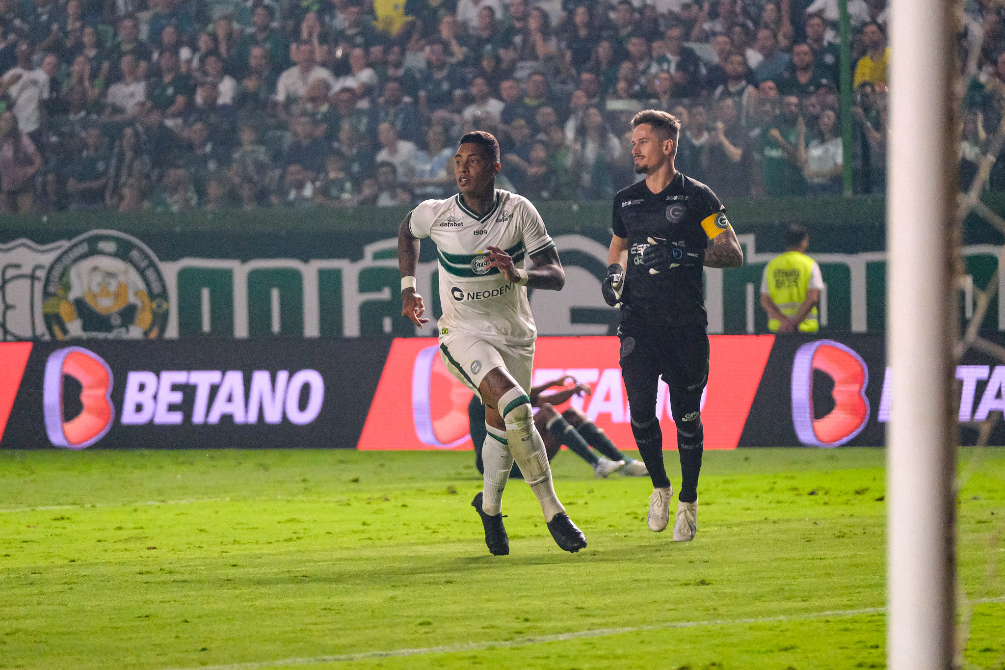 Galeria #GOIxCFC