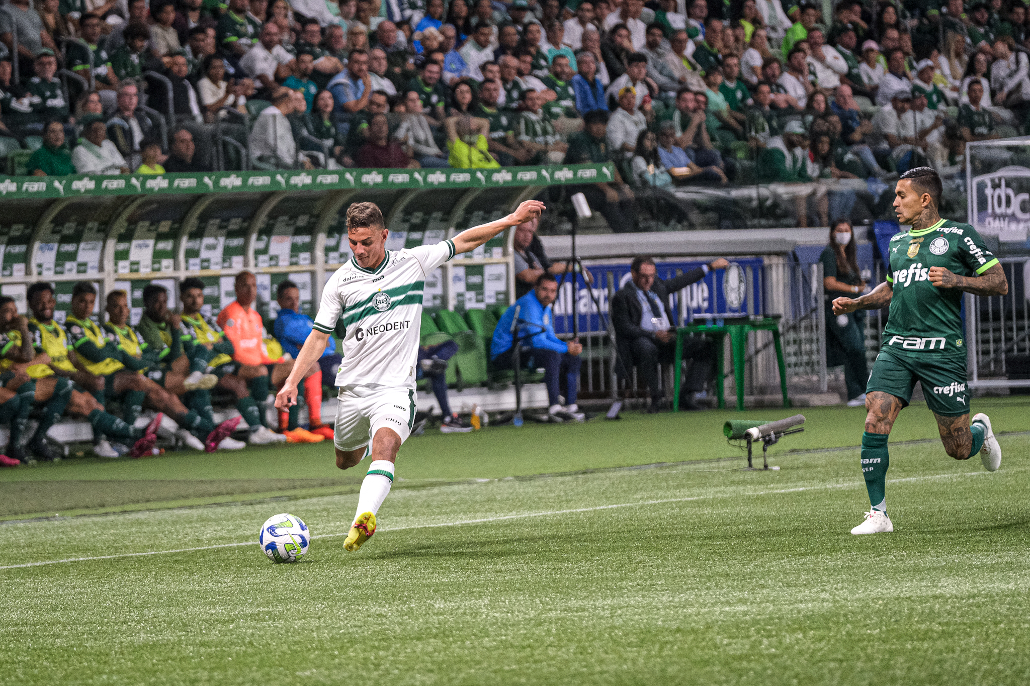 Galeria #PALxCFC