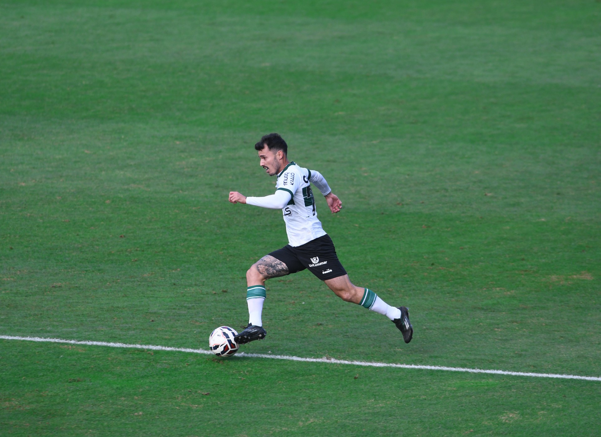 Imprensa: confira o press kit de Botafogo-SP x Coritiba