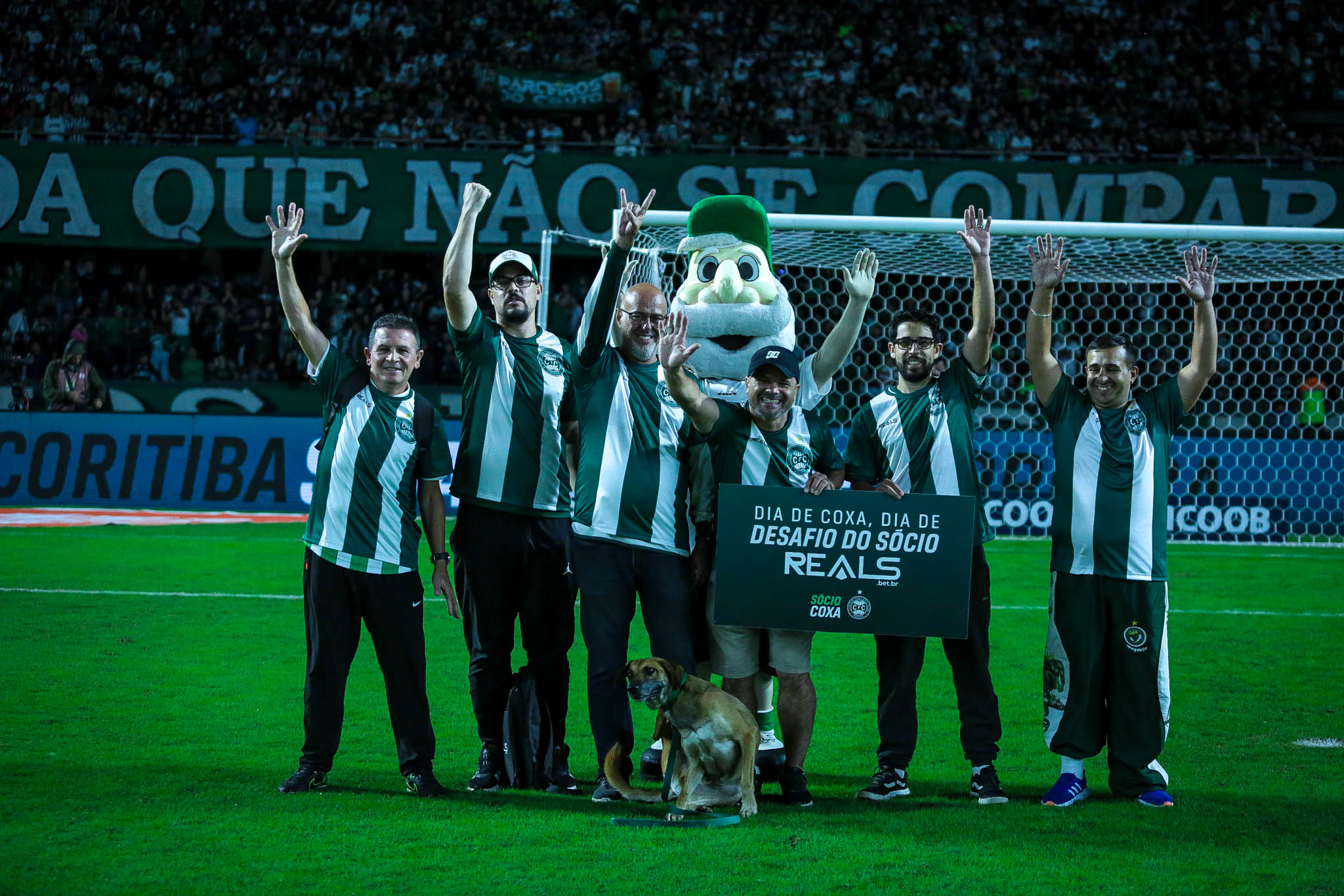 Galeria Desafio do Scio Reals #CFCxNOV