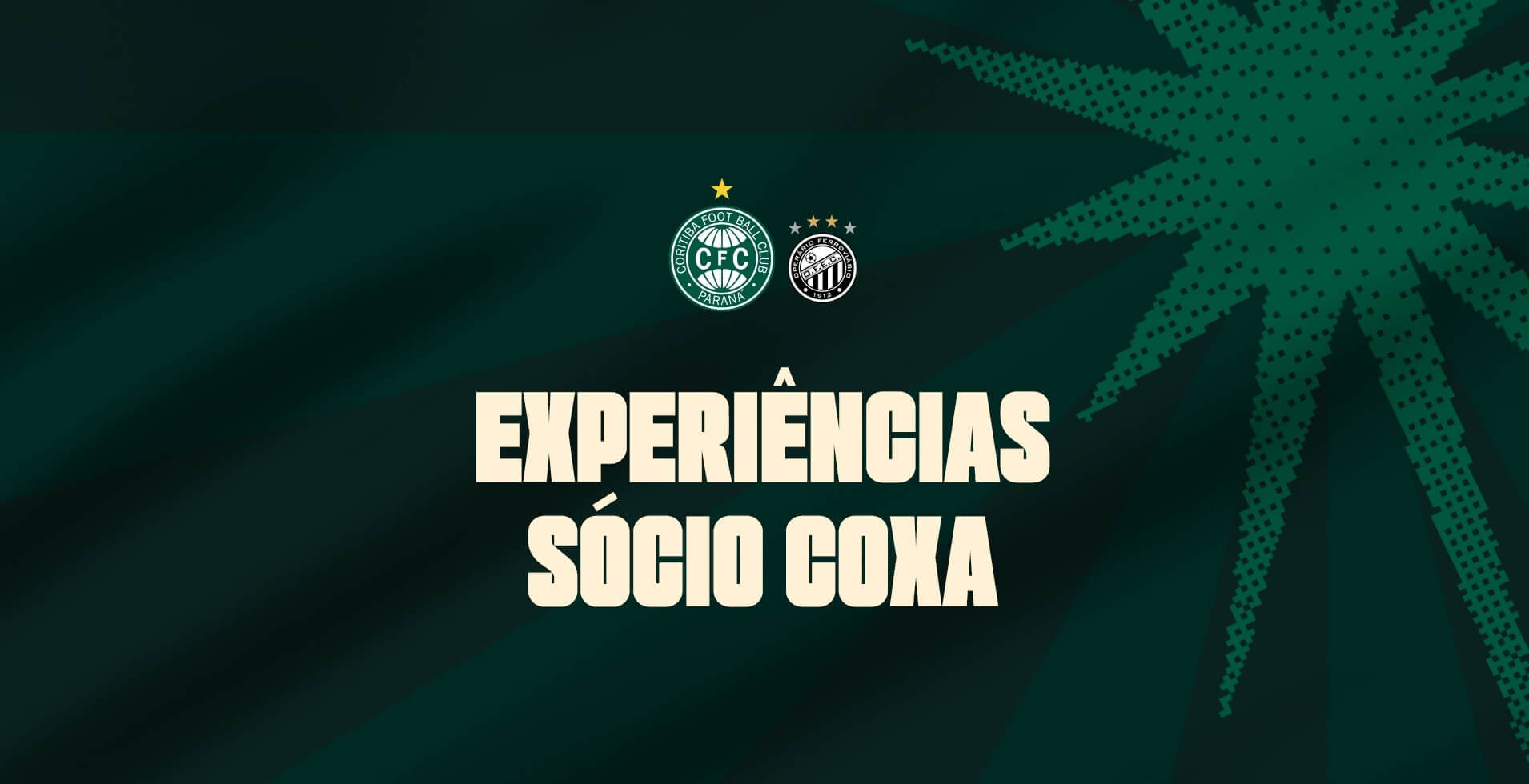 Scio Coxa: saiba como participar das experincias para #CFCxOFEC