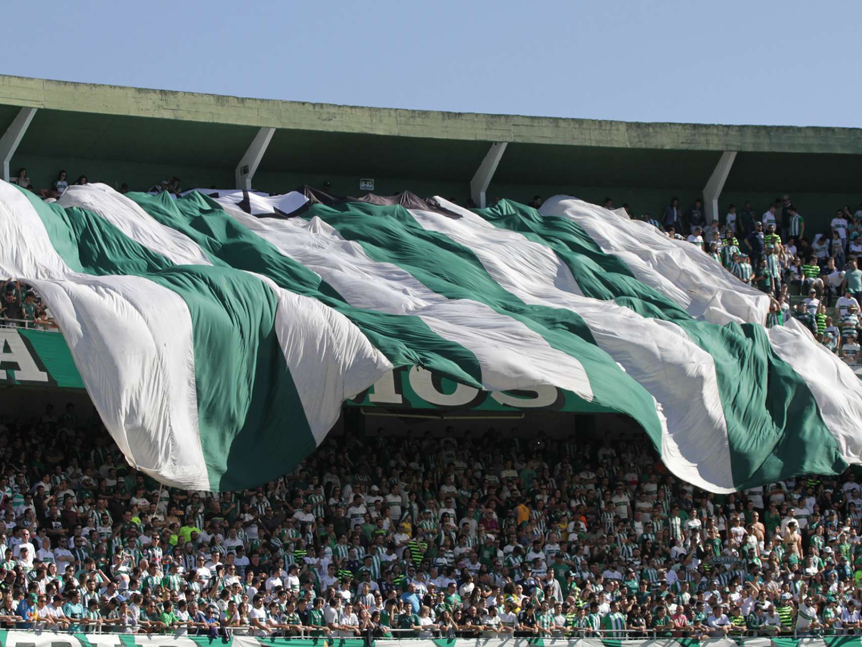 Torcida que nunca abandona