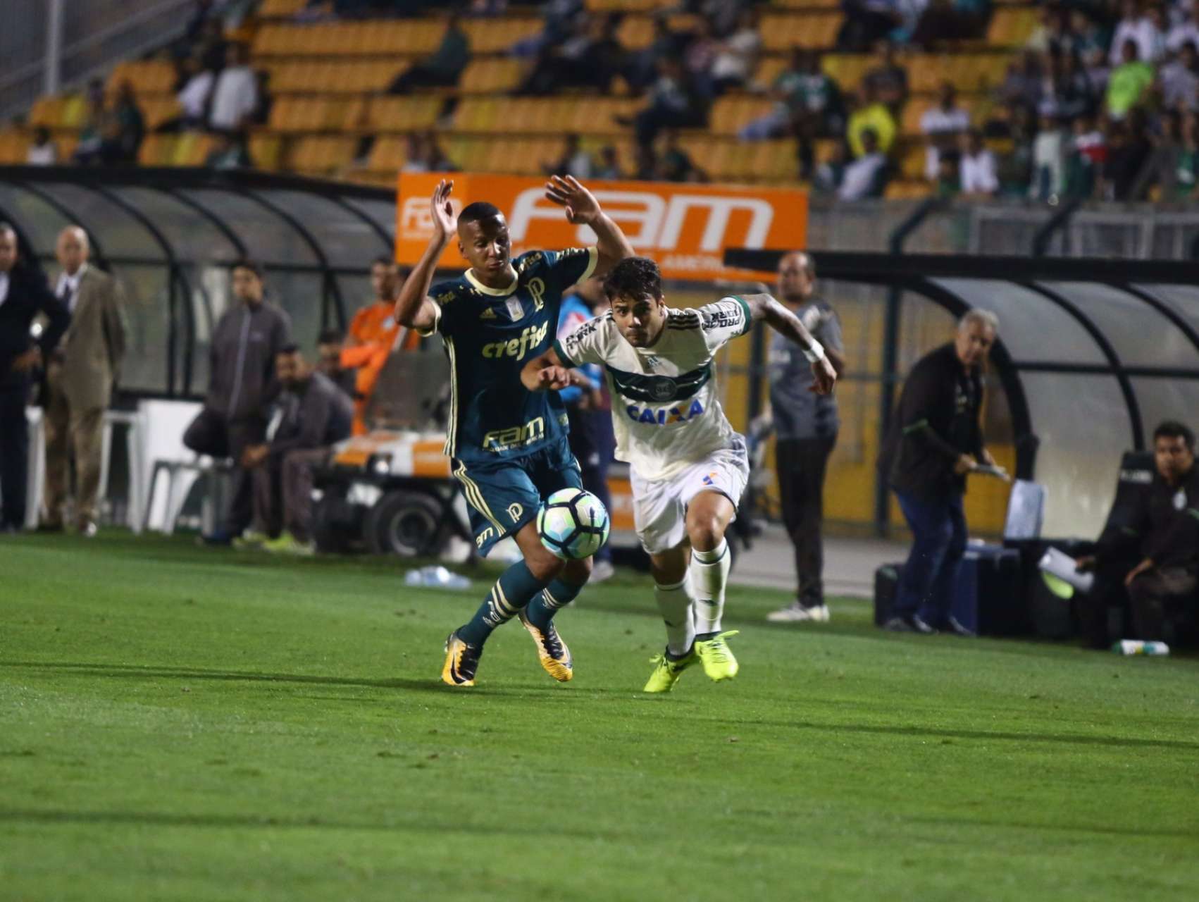 Fotos de Palmeiras x Coritiba