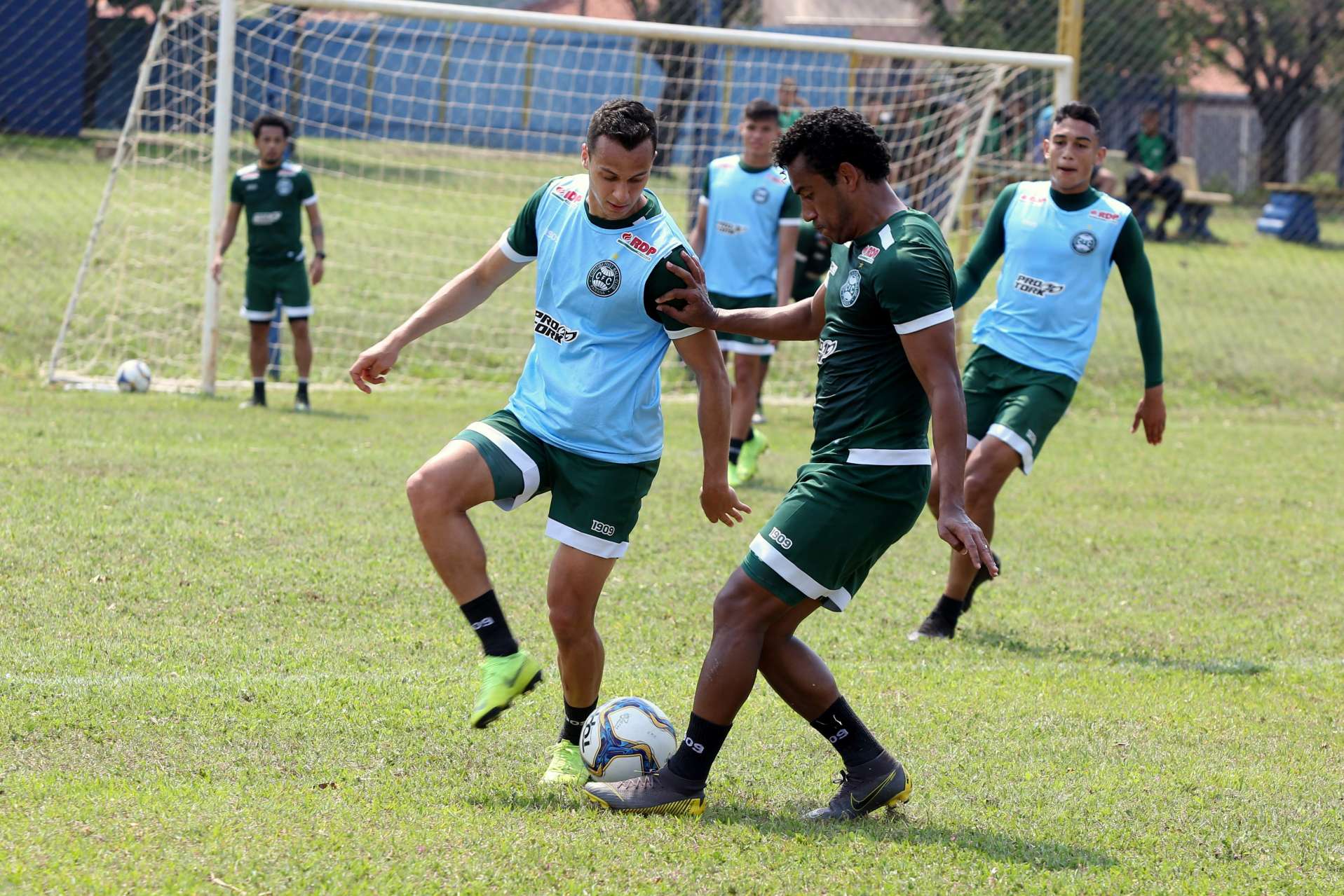 Galeria do treino 