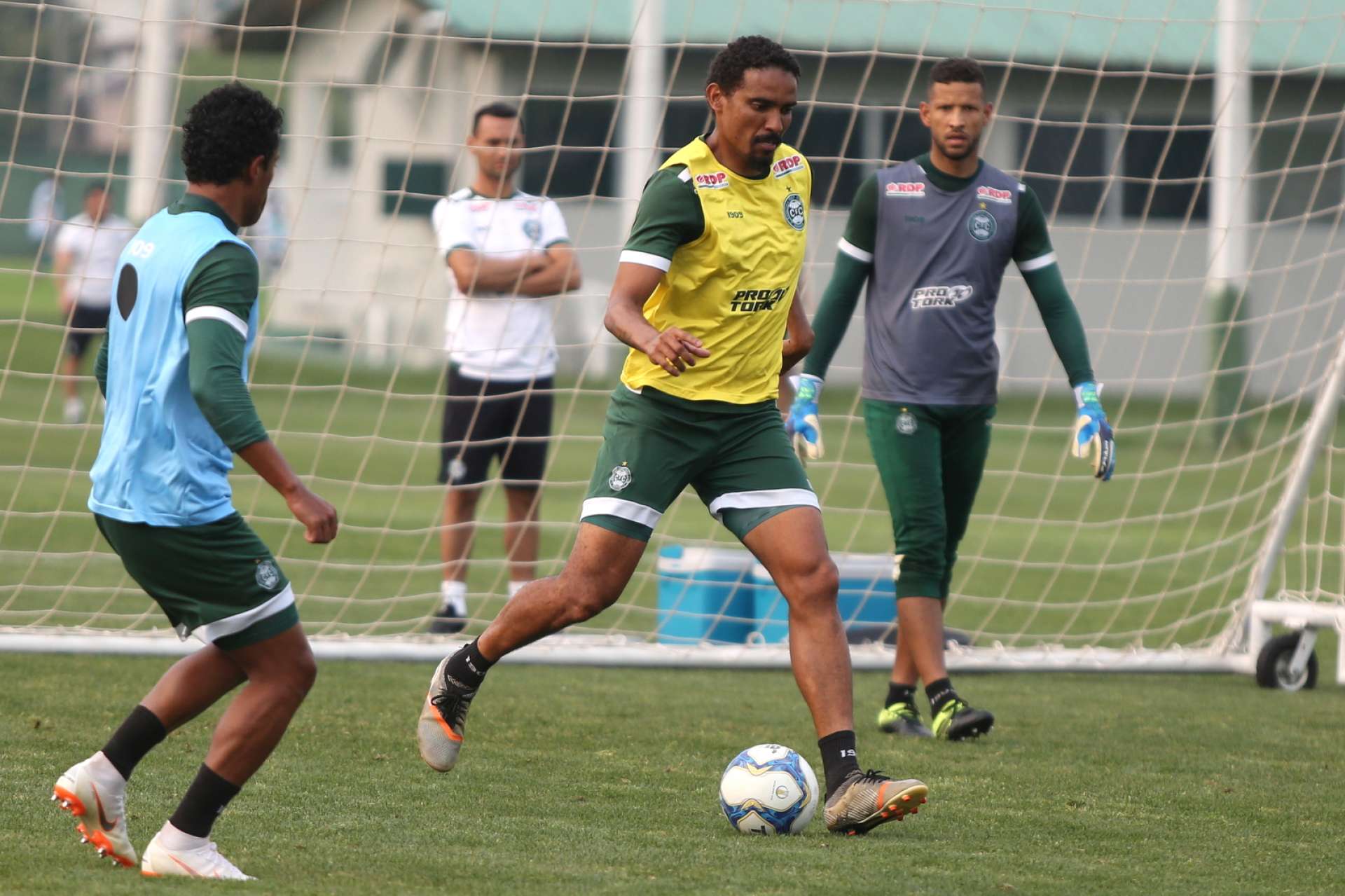 Galeria: treino alviverde