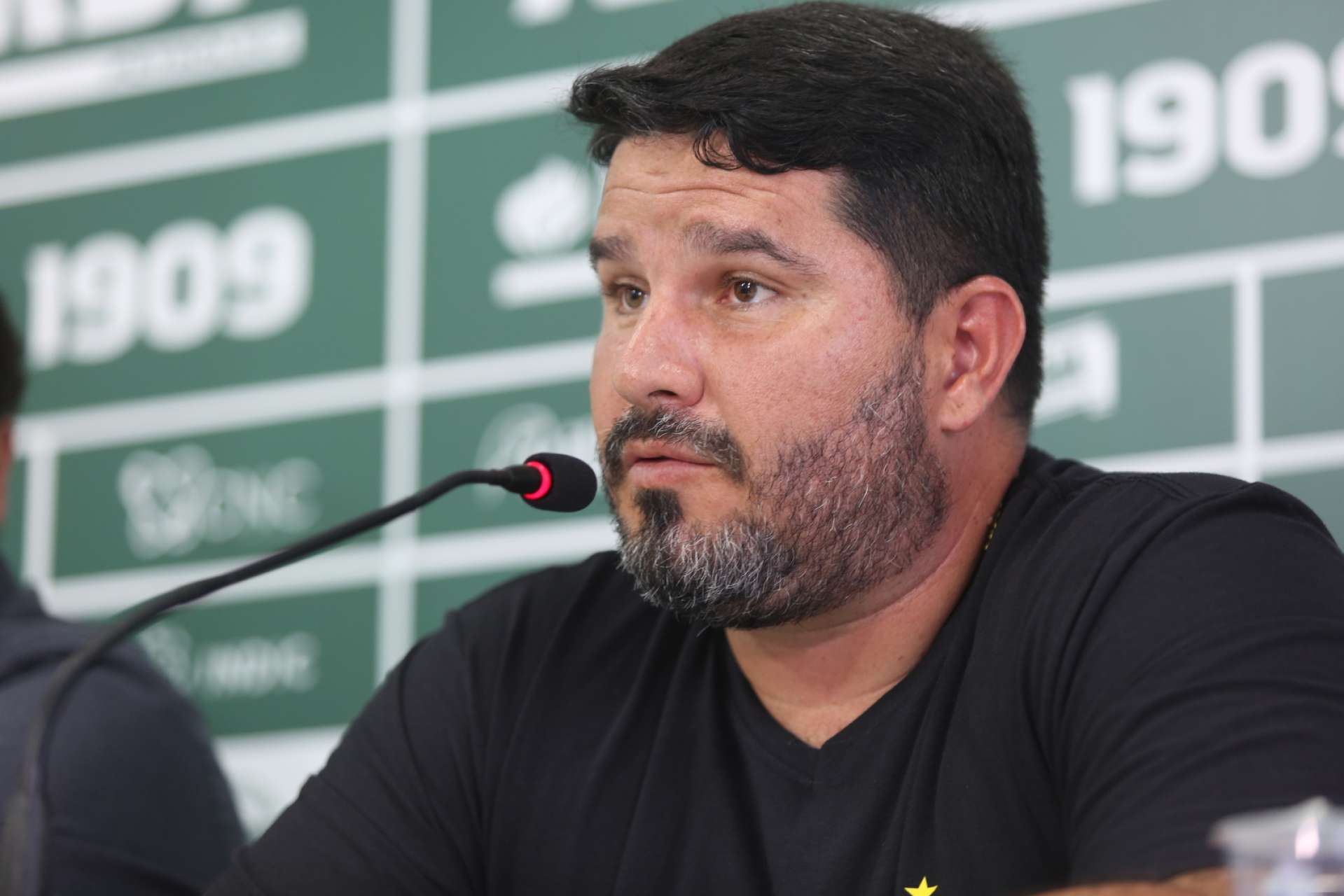 Barroca destaca evoluo alviverde