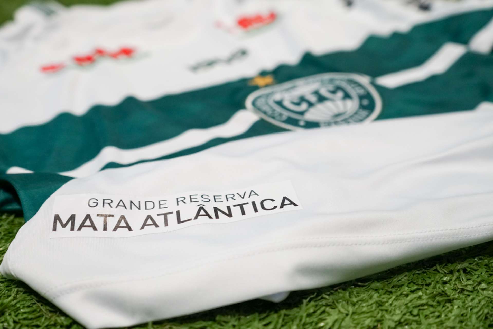 Nosso escudo  verde de natureza 