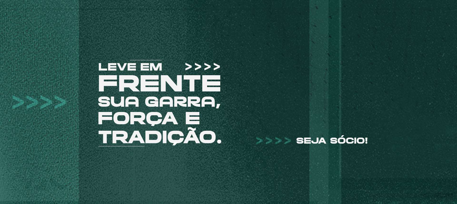 Novos planos de scios