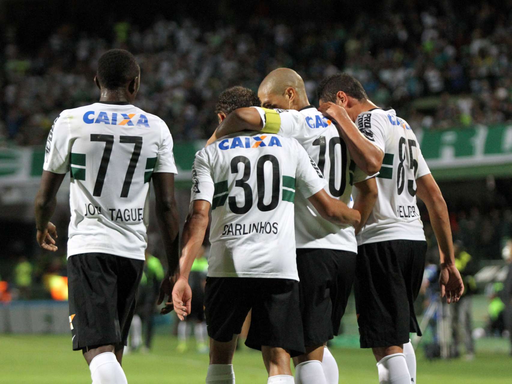 Fotos: Coritiba x Palmeiras