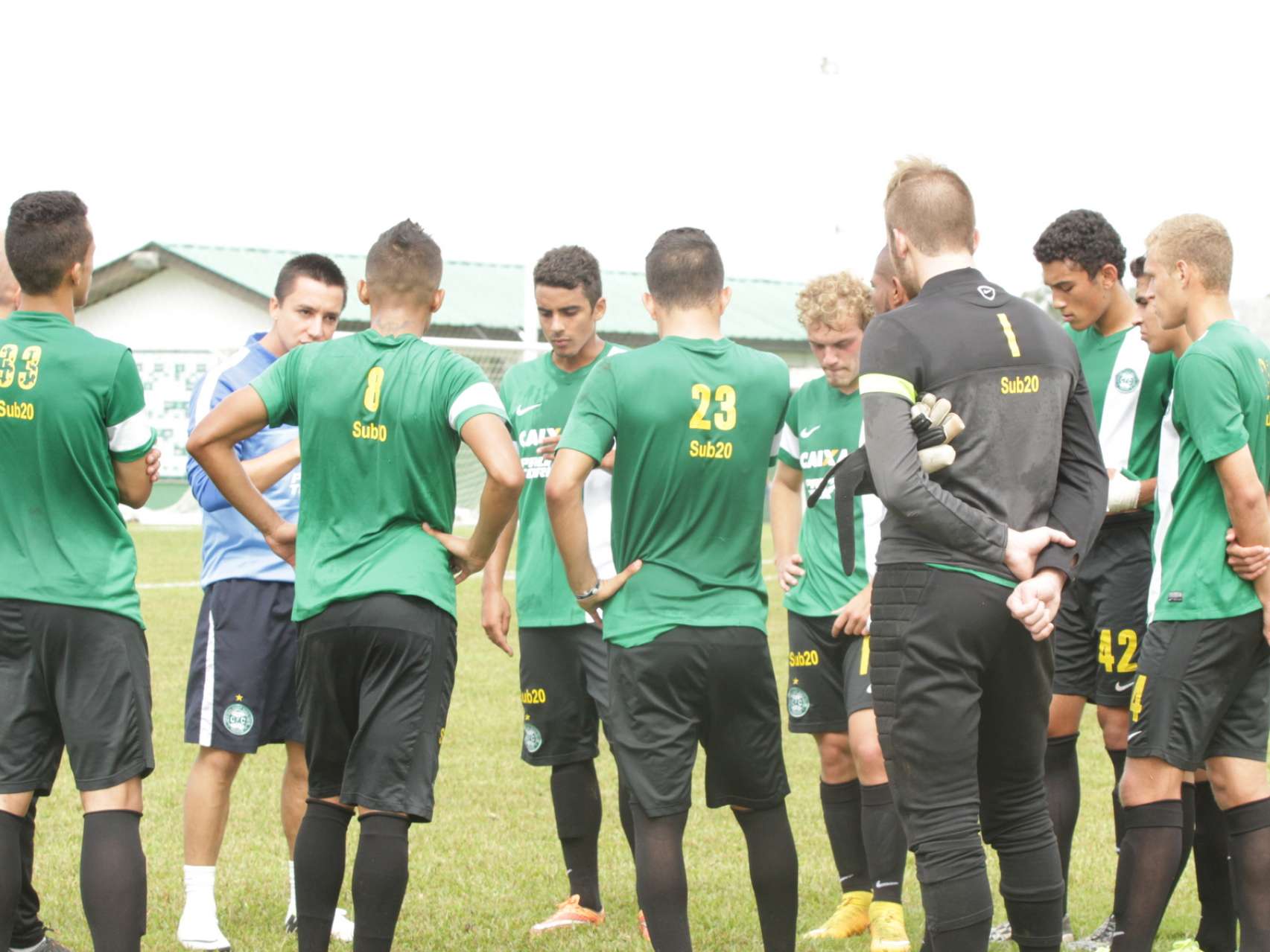 Relacionados para Dallas Cup